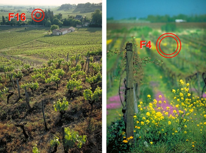 image comparing different camera aperture settings aperture and depth of field