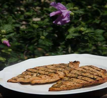 pounded grilled chicken pounded grilled chicken