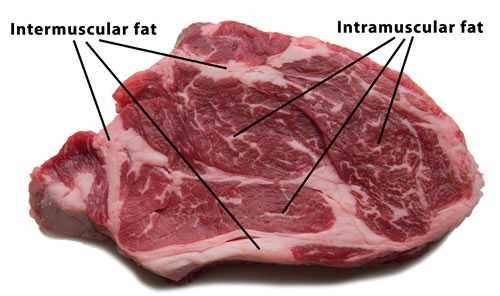 fat types fat types
