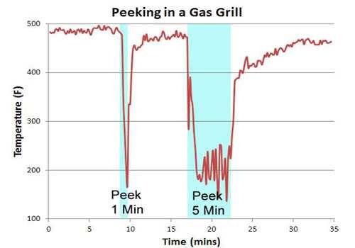 peeking in a gas grill peeking in a gas grill