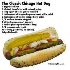 chicago hot dog chicago hot dog