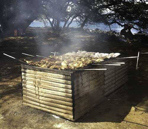 huli huli chicken stand huli huli chicken stand