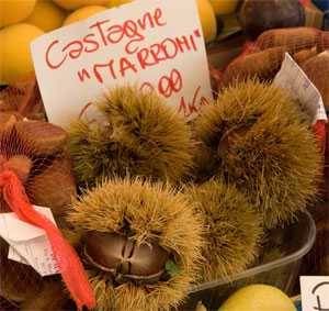 raw chestnuts raw chestnuts