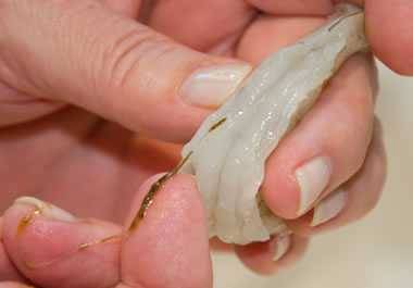removing shrimp vein removing shrimp vein