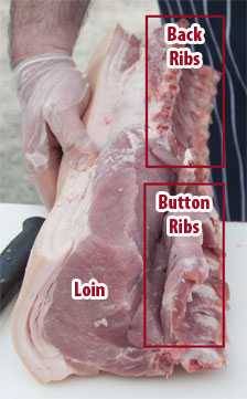 unbutchered back ribs, button ribs and loin