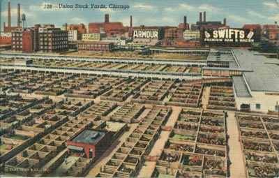 Chicago Stockyards