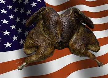 Turkey is the all american meal